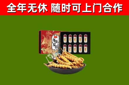 扬中市回收冬虫夏草价格